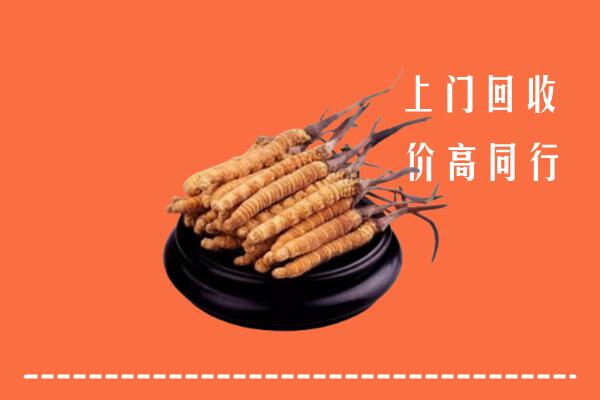 高价求购：山阴县回收散虫草