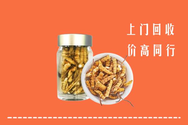 山阴县高价回收冬虫夏草